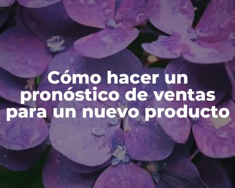 Cómo hacer un pronóstico de ventas para un nuevo producto