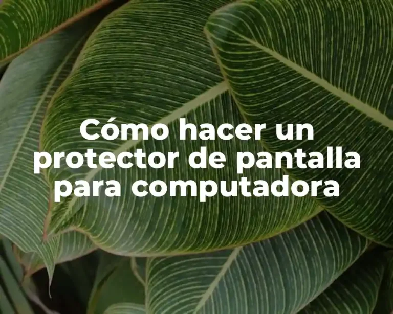 Cómo hacer un protector de pantalla para computadora