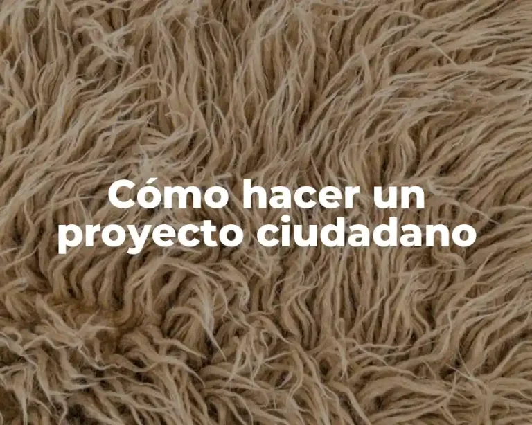 Cómo hacer un proyecto ciudadano