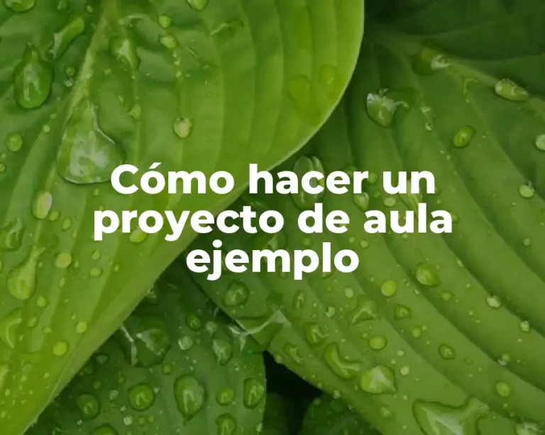 Cómo hacer un proyecto de aula ejemplo