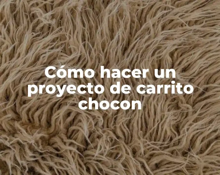 Cómo hacer un proyecto de carrito chocon