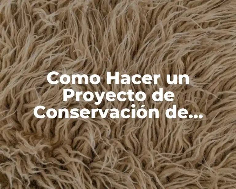 Como Hacer un Proyecto de Conservación de Alimentos