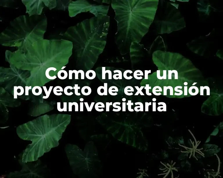 Cómo hacer un proyecto de extensión universitaria