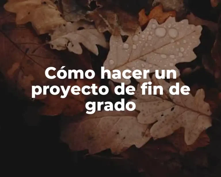 Cómo hacer un proyecto de fin de grado