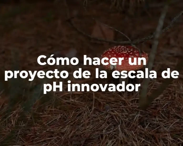Cómo hacer un proyecto de la escala de pH innovador