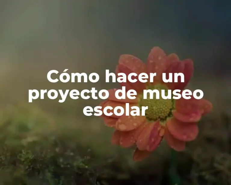 Cómo hacer un proyecto de museo escolar