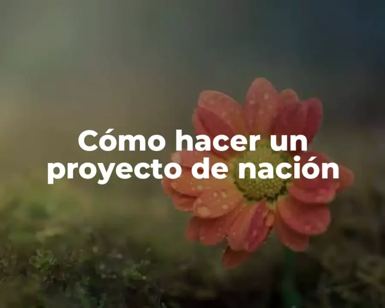 Cómo hacer un proyecto de nación