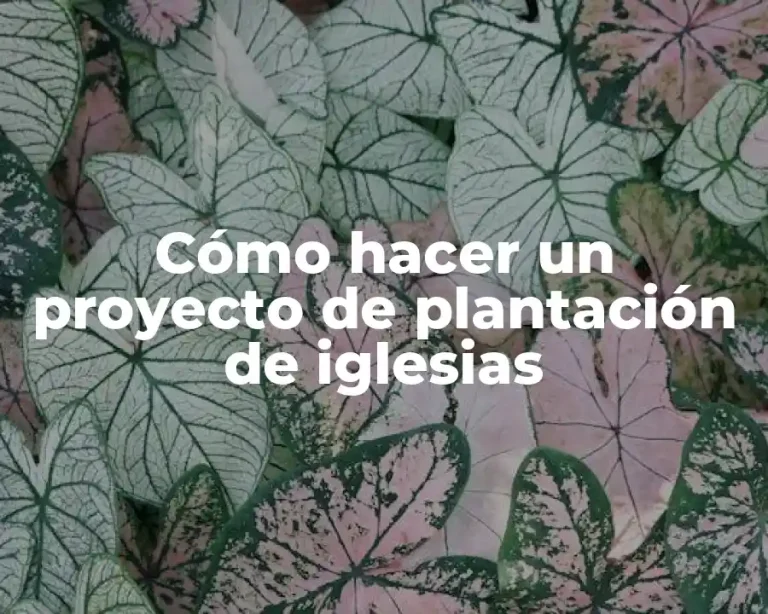 Cómo hacer un proyecto de plantación de iglesias