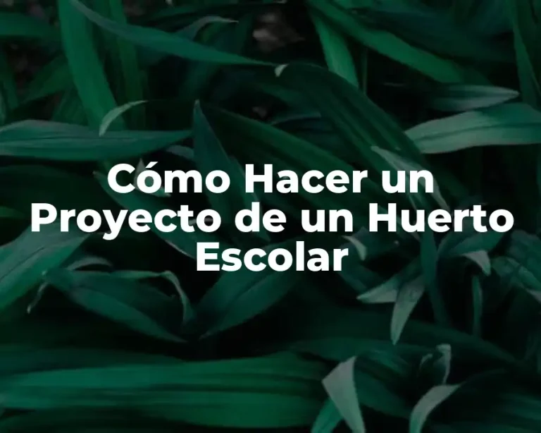 Cómo Hacer un Proyecto de un Huerto Escolar