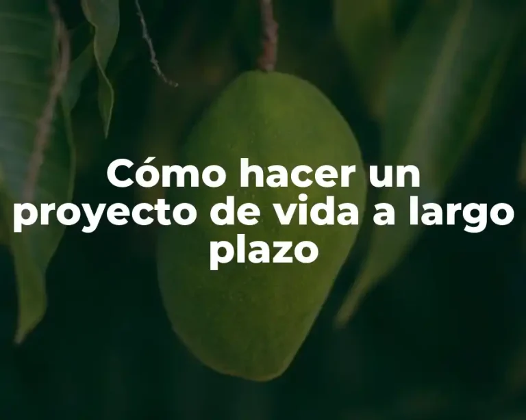 Cómo hacer un proyecto de vida a largo plazo