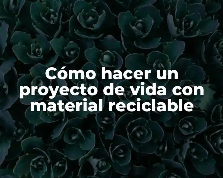 Cómo hacer un proyecto de vida con material reciclable