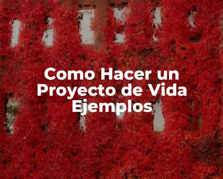 Como Hacer un Proyecto de Vida Ejemplos