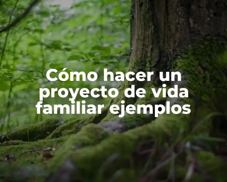 Cómo hacer un proyecto de vida familiar ejemplos