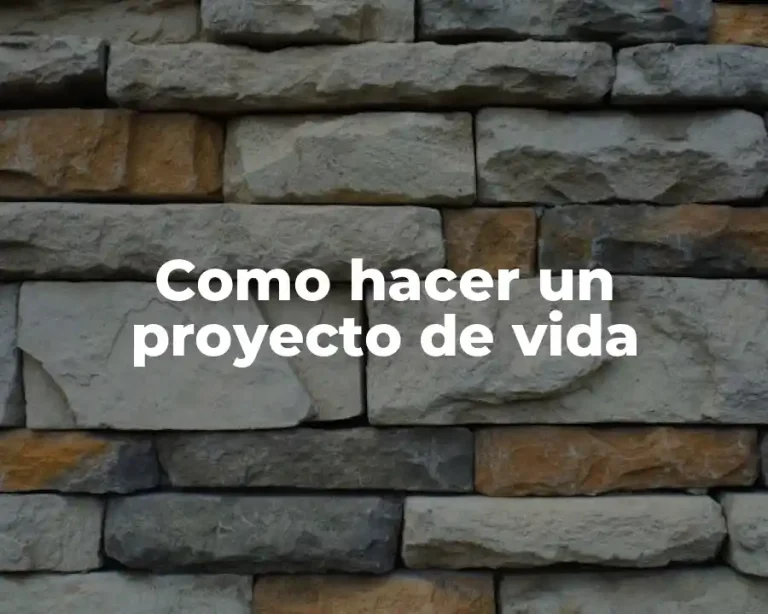 Como hacer un proyecto de vida