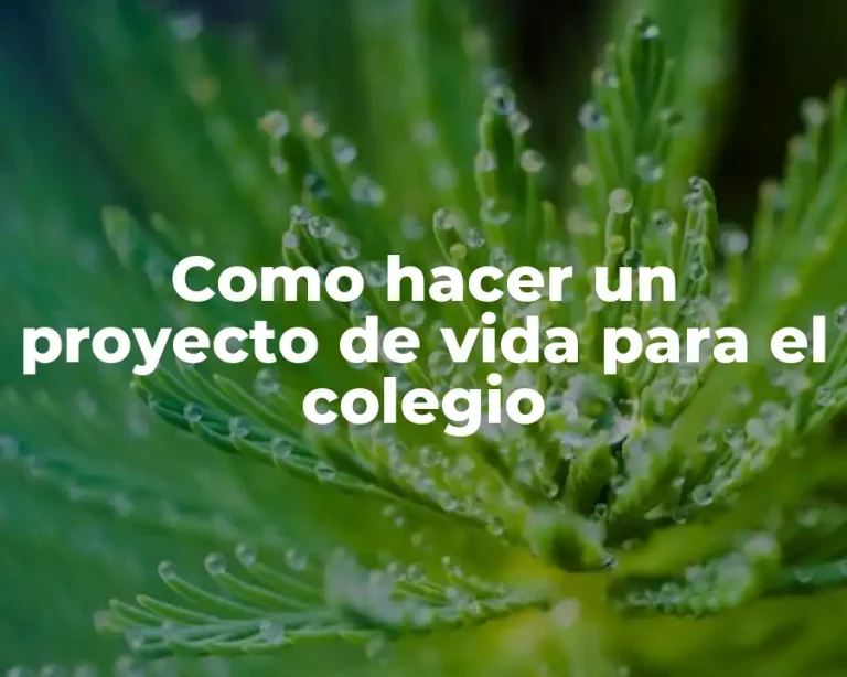 Como hacer un proyecto de vida para el colegio