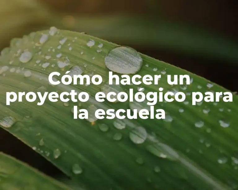 Cómo hacer un proyecto ecológico para la escuela