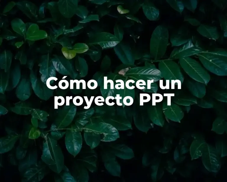 Cómo hacer un proyecto PPT