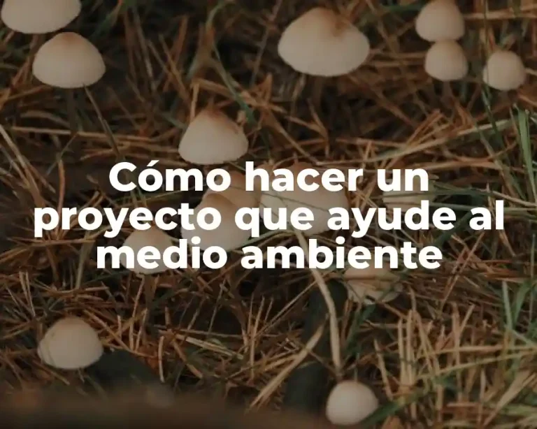 Cómo hacer un proyecto que ayude al medio ambiente