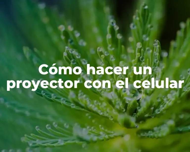 Cómo hacer un proyector con el celular