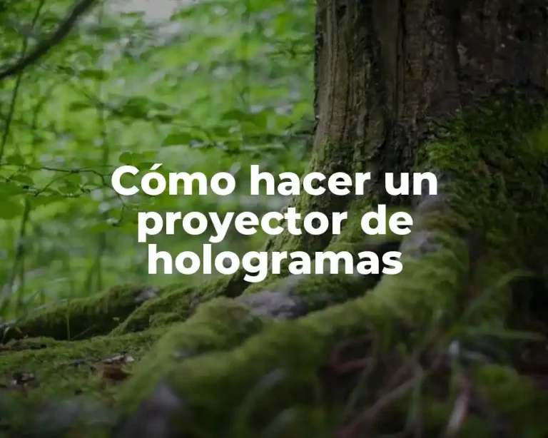 Cómo hacer un proyector de hologramas