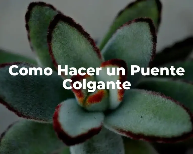 Como Hacer un Puente Colgante
