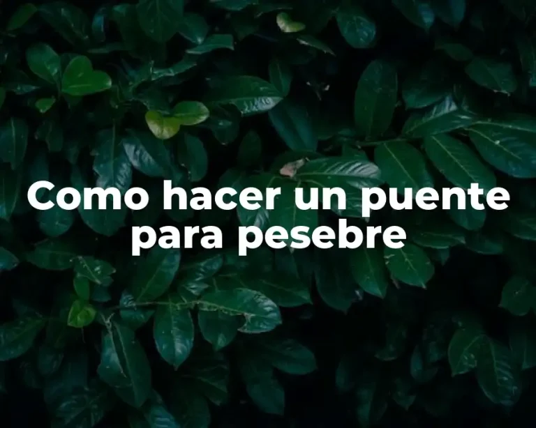 Como hacer un puente para pesebre