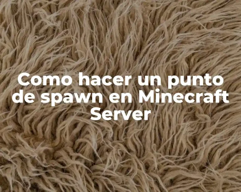 Como hacer un punto de spawn en Minecraft Server