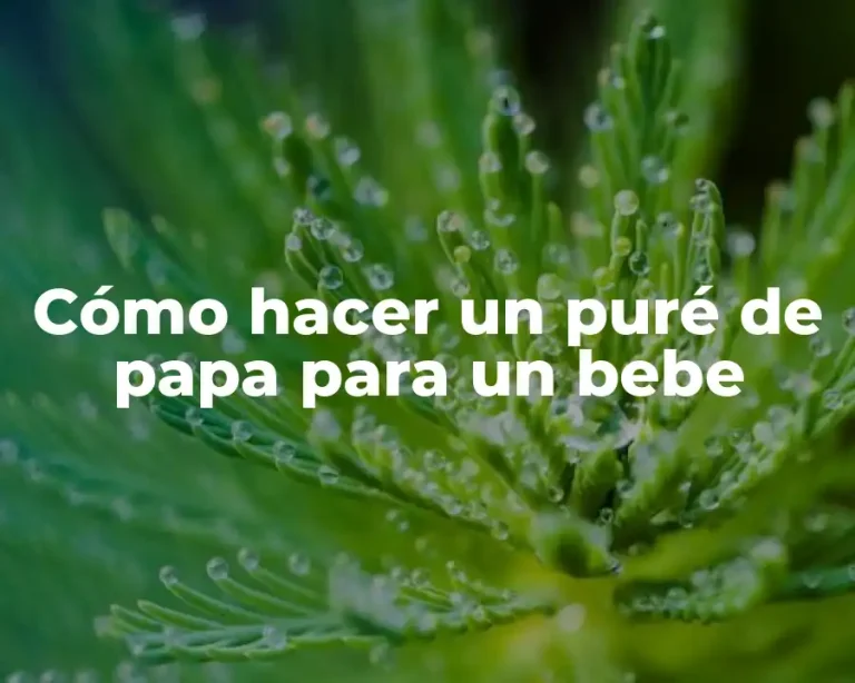 Cómo hacer un puré de papa para un bebe