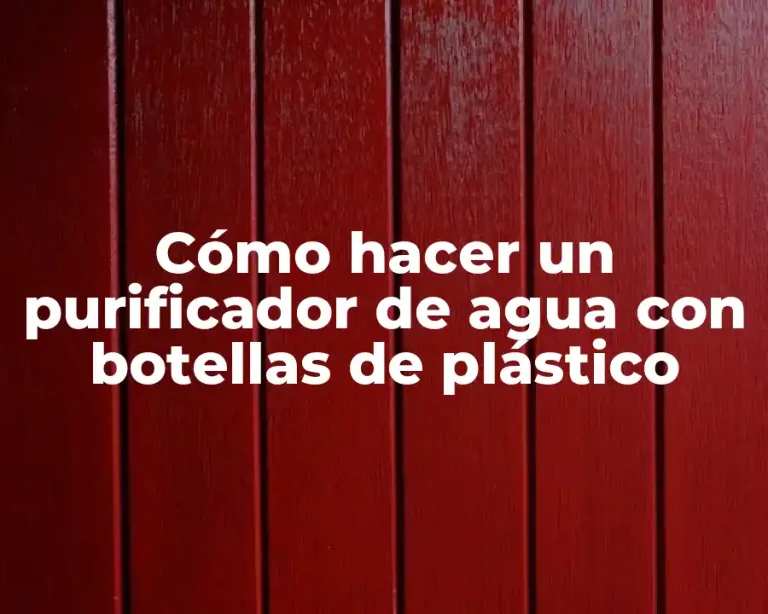 Cómo hacer un purificador de agua con botellas de plástico