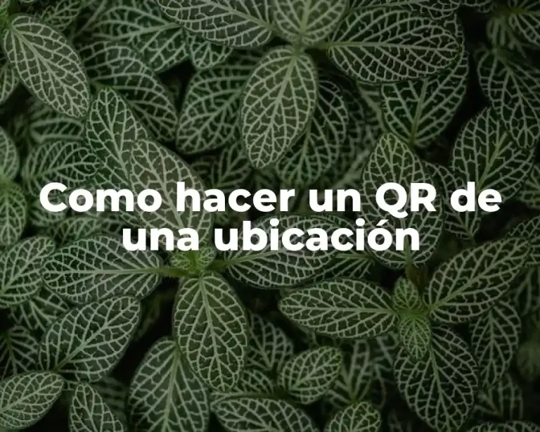 Como hacer un QR de una ubicación