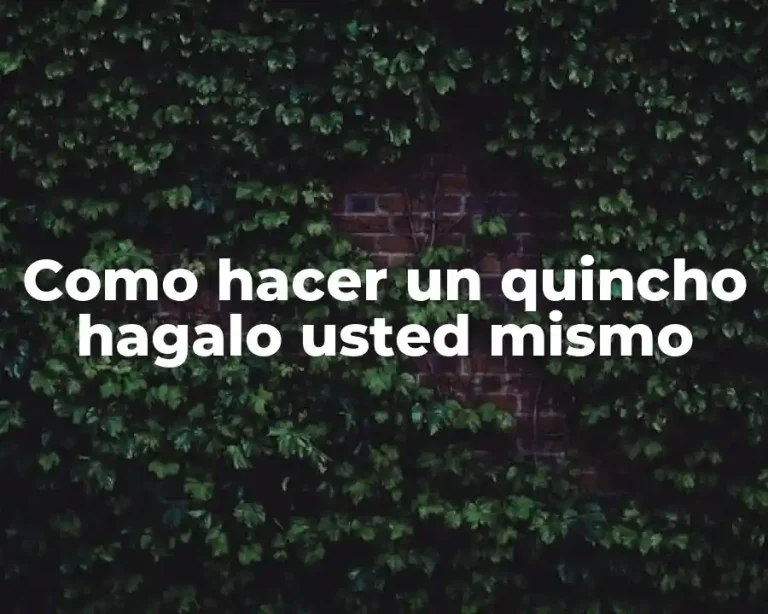 Como hacer un quincho hagalo usted mismo