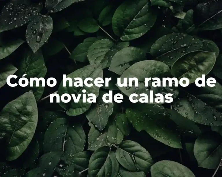 Cómo hacer un ramo de novia de calas