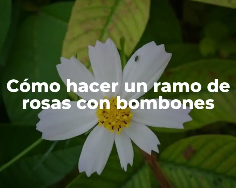 Cómo hacer un ramo de rosas con bombones