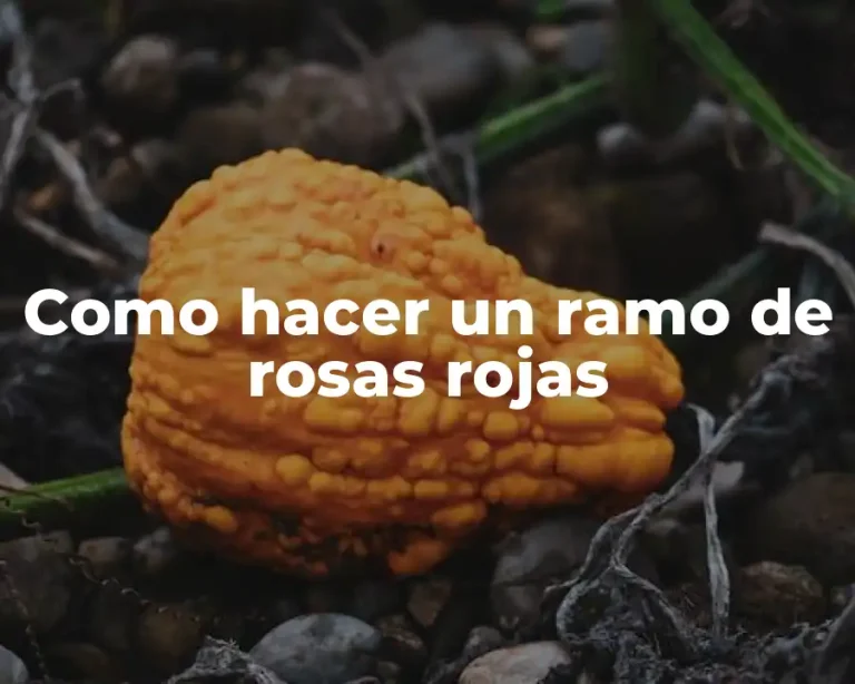 Como hacer un ramo de rosas rojas