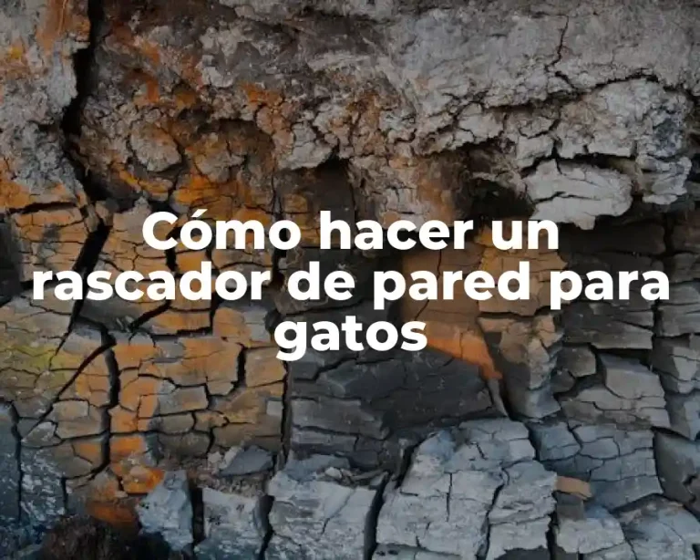 Cómo hacer un rascador de pared para gatos