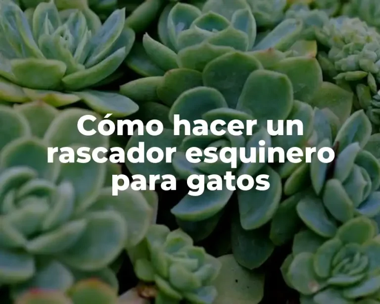 Cómo hacer un rascador esquinero para gatos