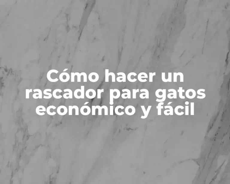 Cómo hacer un rascador para gatos económico y fácil