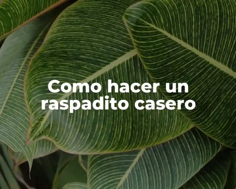 Como hacer un raspadito casero