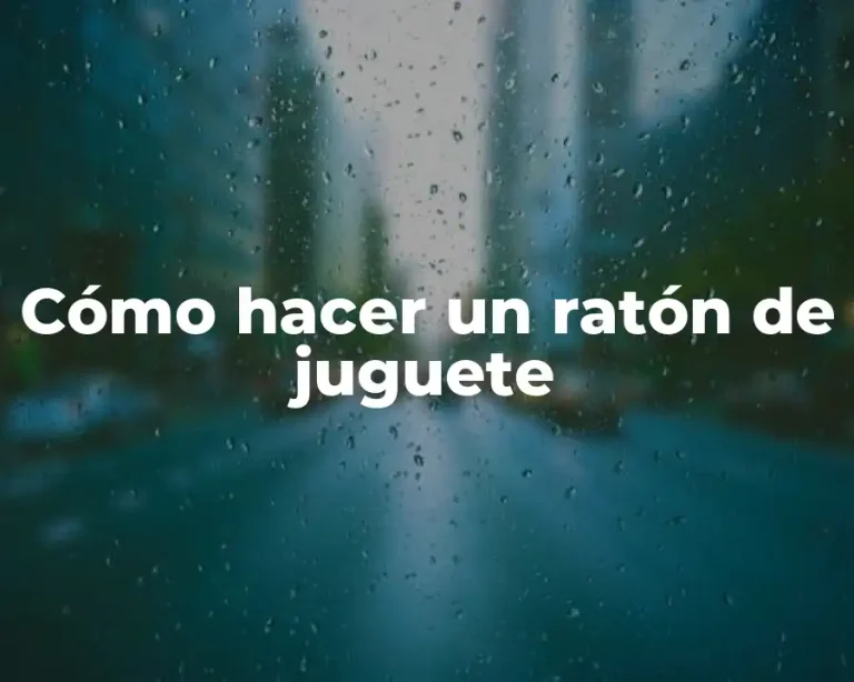 Cómo hacer un ratón de juguete