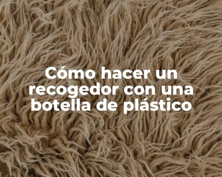 Cómo hacer un recogedor con una botella de plástico