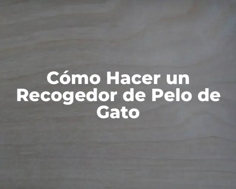 Cómo Hacer un Recogedor de Pelo de Gato