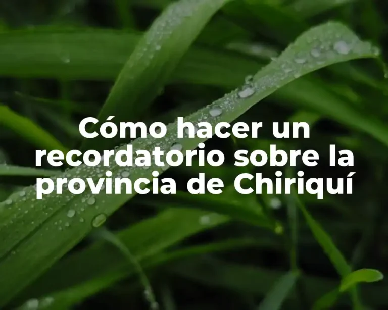Cómo hacer un recordatorio sobre la provincia de Chiriquí