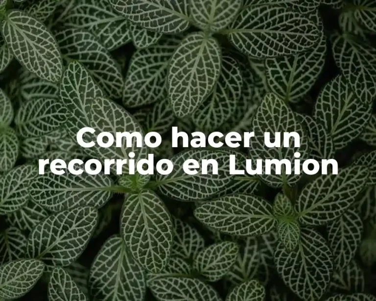 Como hacer un recorrido en Lumion