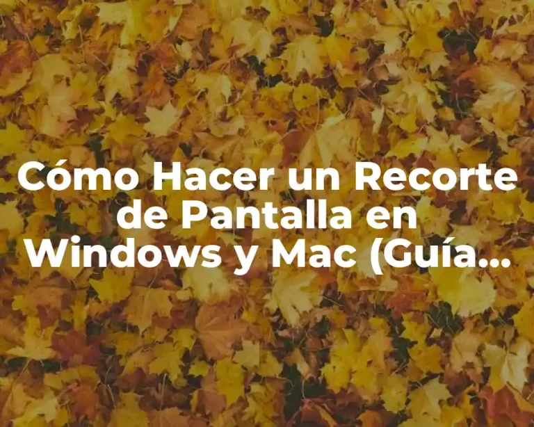 Cómo Hacer un Recorte de Pantalla en Windows y Mac (Guía Completa)