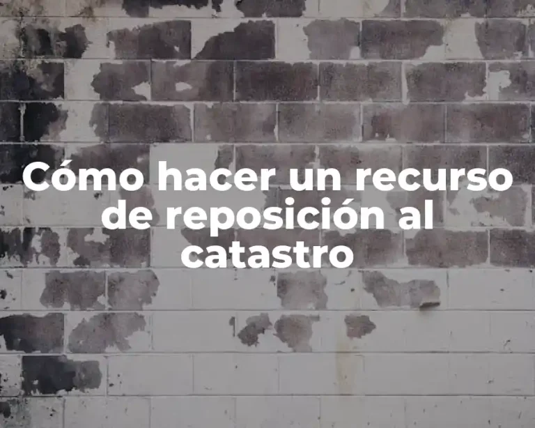 Cómo hacer un recurso de reposición al catastro
