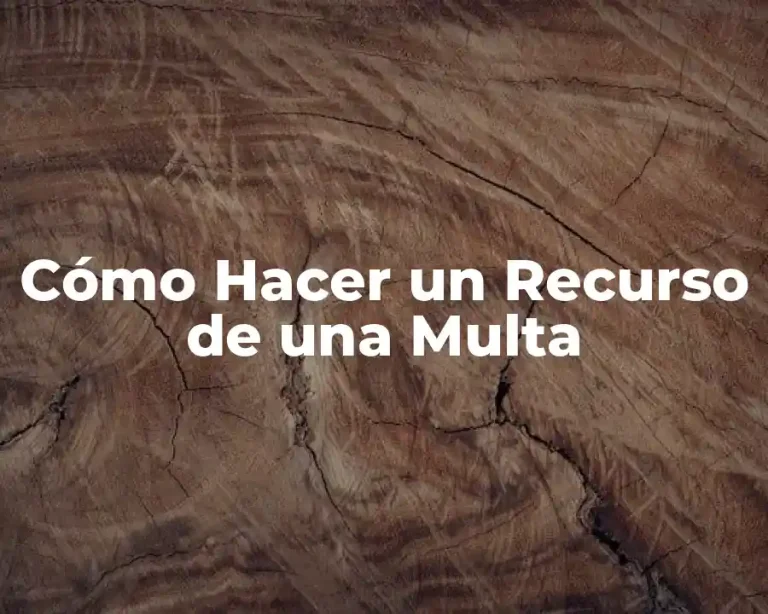 Cómo Hacer un Recurso de una Multa