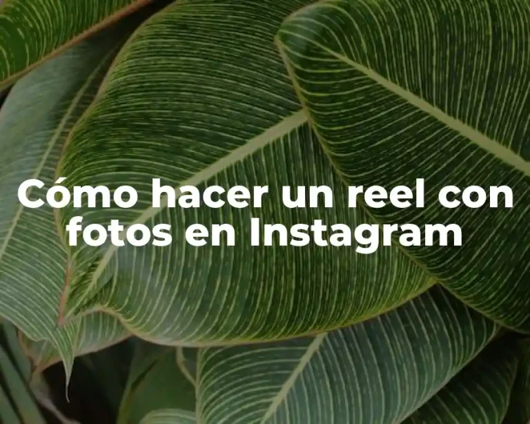 Cómo hacer un reel con fotos en Instagram