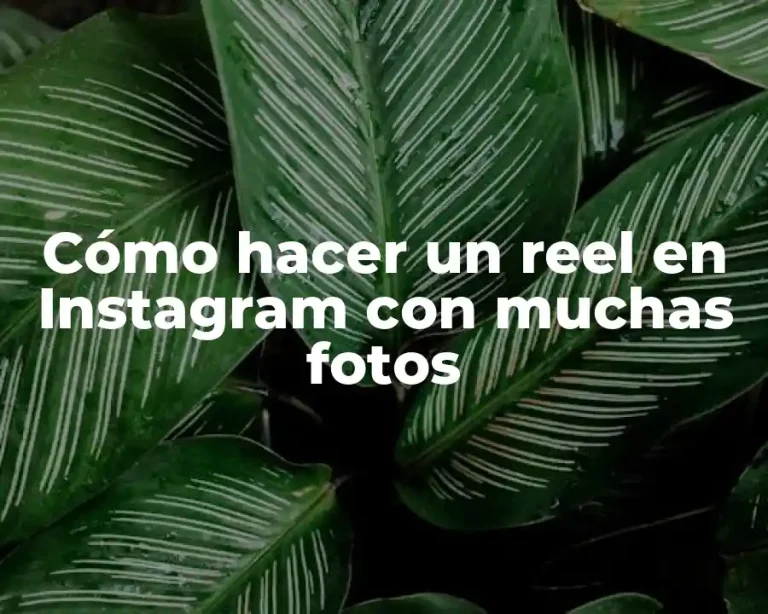 Cómo hacer un reel en Instagram con muchas fotos