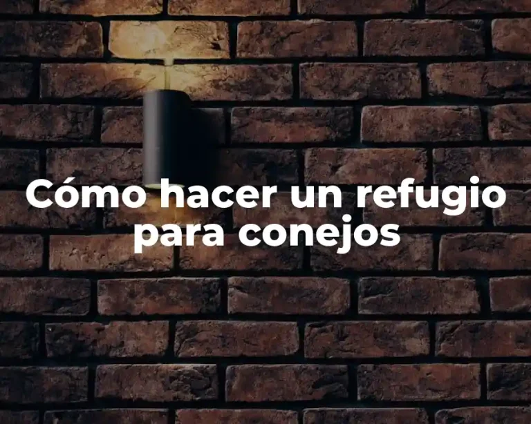 Cómo hacer un refugio para conejos