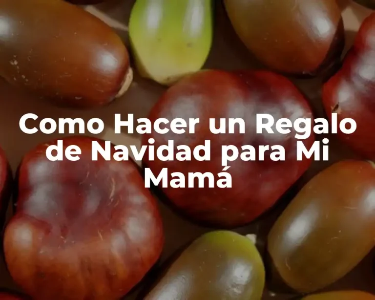 Como Hacer un Regalo de Navidad para Mi Mamá